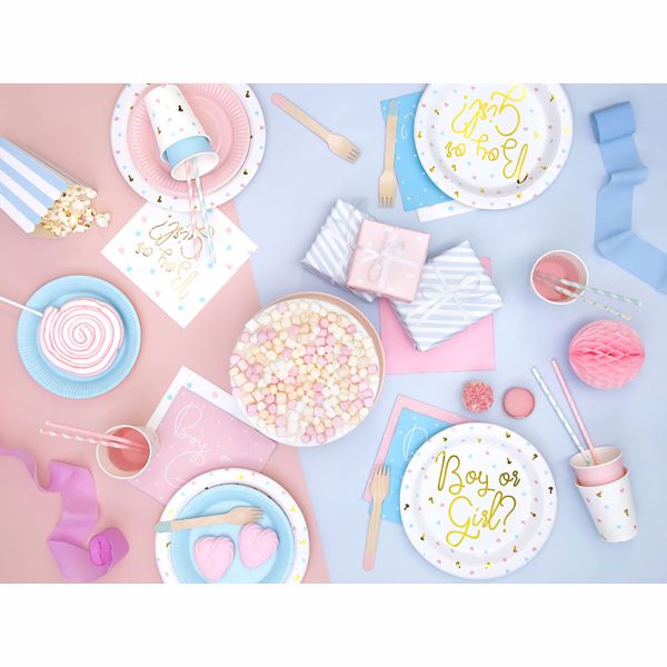 Тарелка Boy or Girl? 23см 6шт/PD