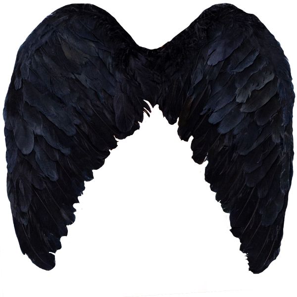 Крылья ангела черные 50х55см/G