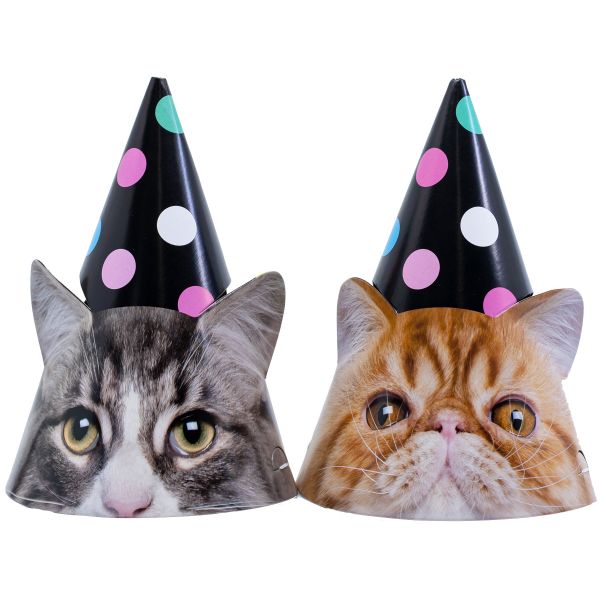 Колпак Котики фотографичные 6шт/G