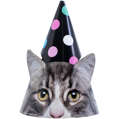 Колпак Котики фотографичные 6шт/G