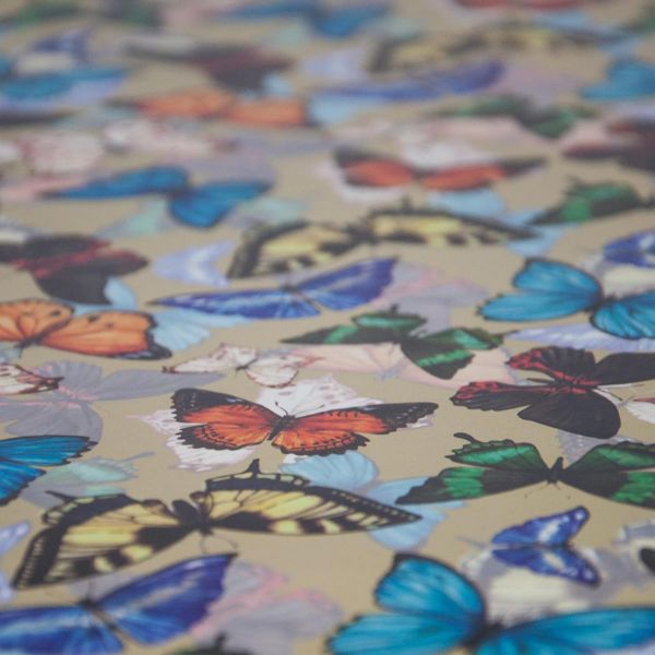 Бумага упак Бабочки 67х99см