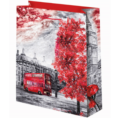 Пакет бум Города 33х45см