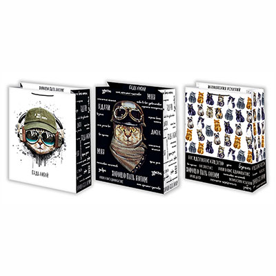 Пакет бум Коты 18х23