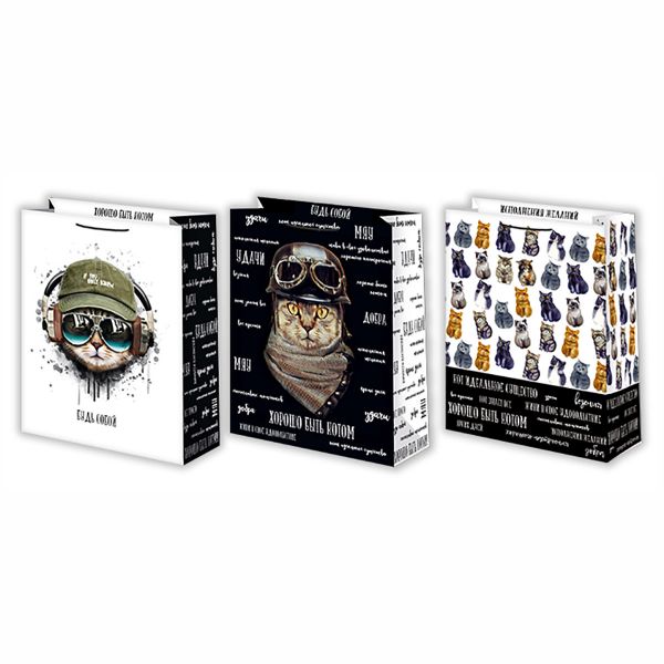 Пакет бум Коты 18х23