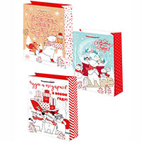 Пакет бум НГ Рисунок 22х31см