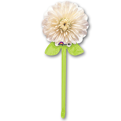  Георгин белый