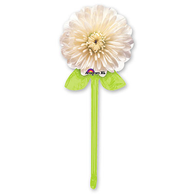  Георгин белый