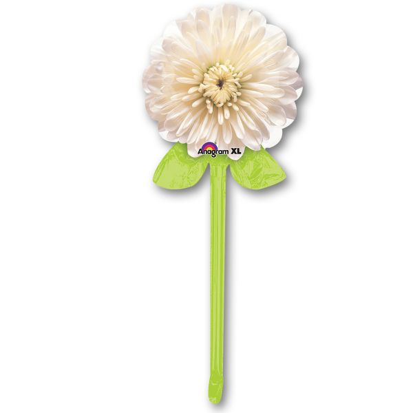  Георгин белый