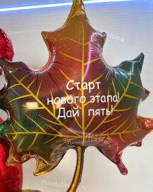 Набор шаров back to school