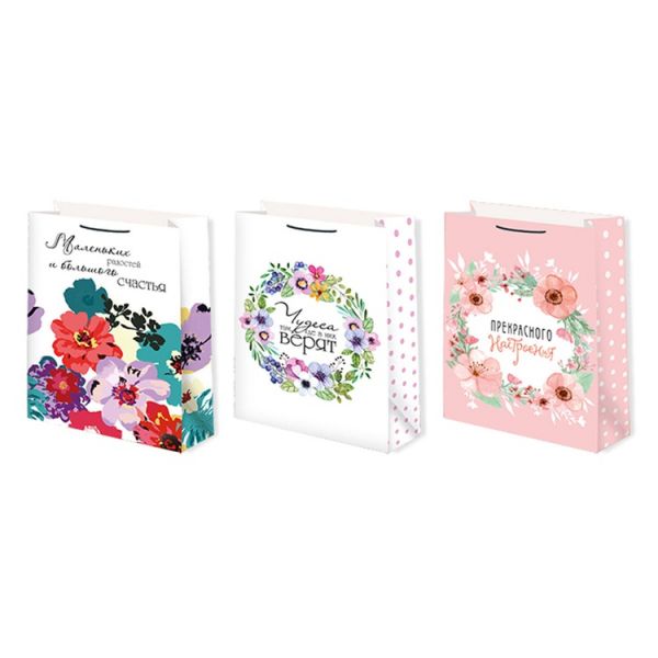 Пакет бум Пожелания 22х31см