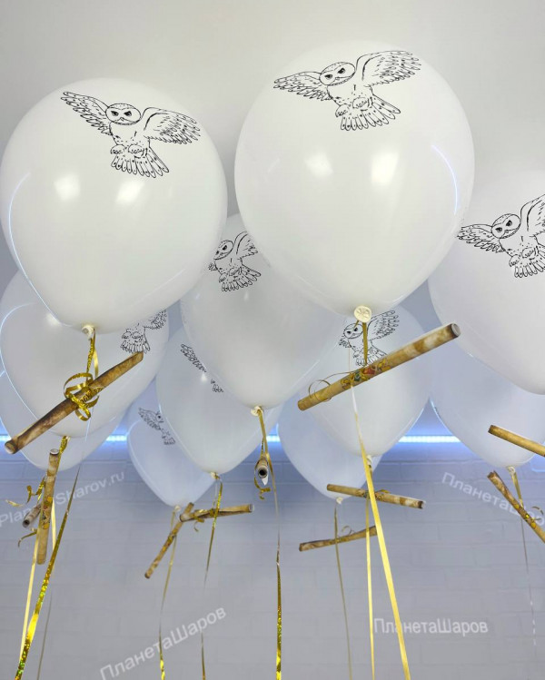 Воздушные шары с совами
