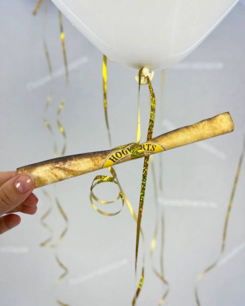 Воздушные шары с совами