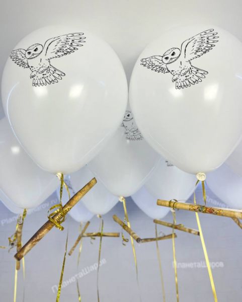 Воздушные шары с совами