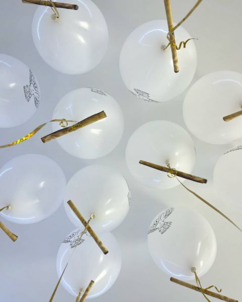 Воздушные шары с совами