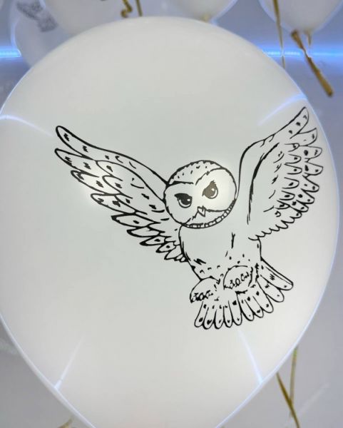 Воздушные шары с совами