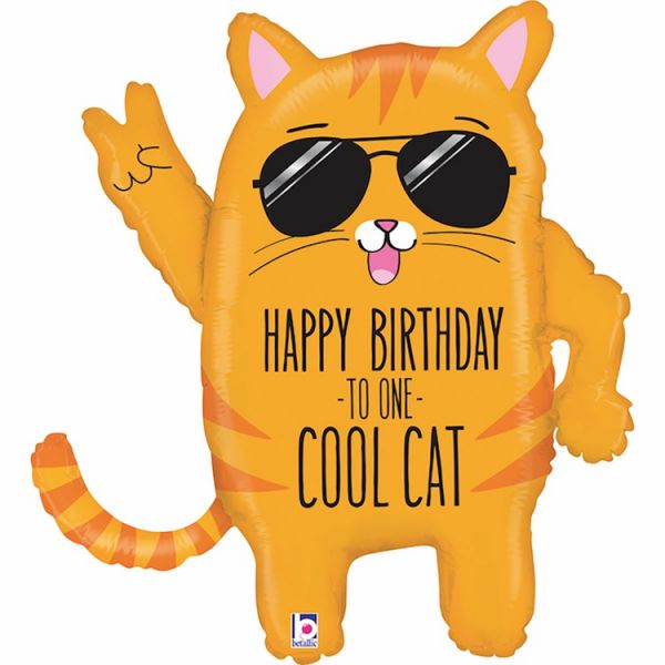  TO ONE COOL CAT Кот