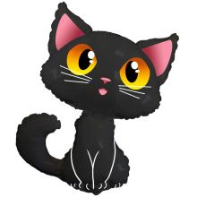  Кот черный