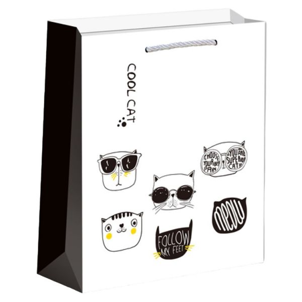 Пакет бум Забавные Котята 18х23см