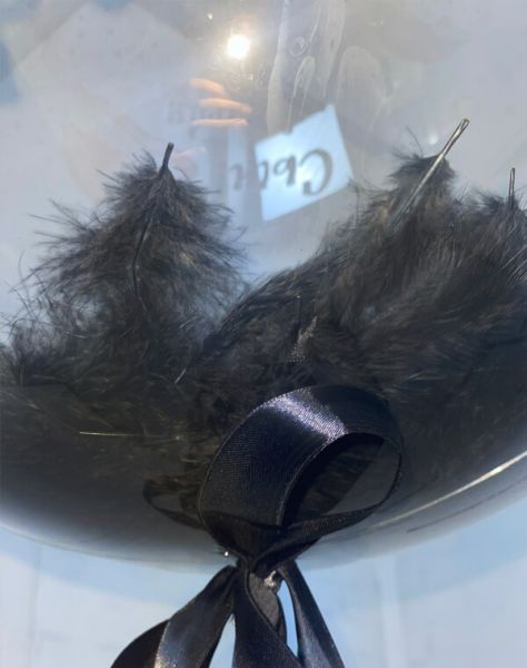 Баблс с чёрными перьями