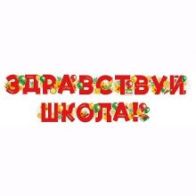 Гирлянда ЗДРАВСТВУЙ ШКОЛА Шары 200см