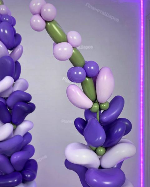 Лаванда из воздушных шаров