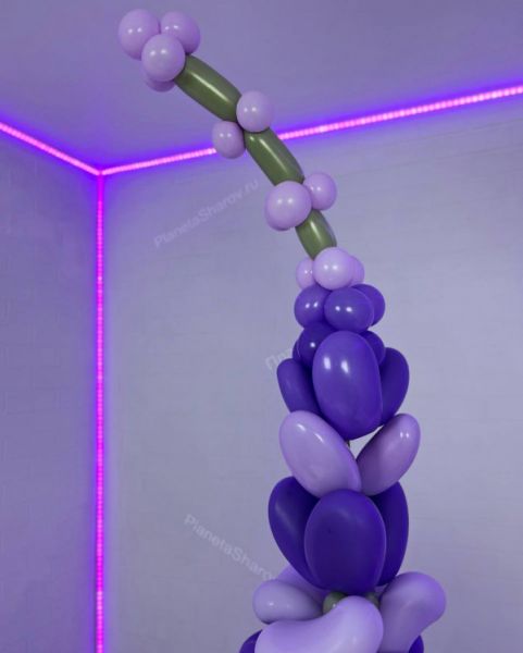 Лаванда из воздушных шаров