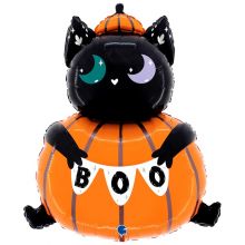  Кот в тыкве
