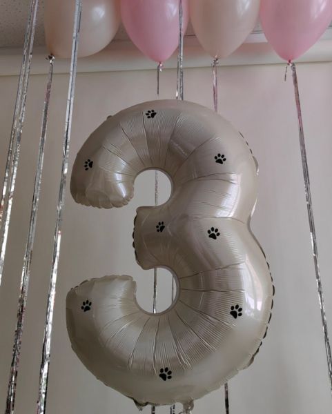 Комплект шаров 1049