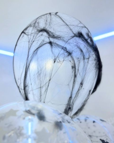 Ужасная коробка с паутиной на Хэлоуин