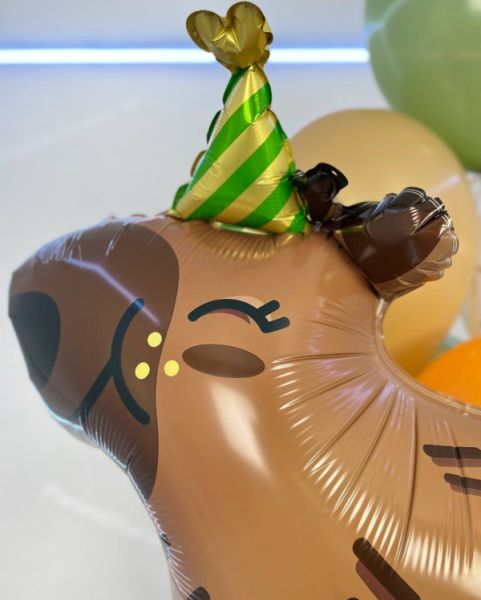 Сет шаров с капибарой