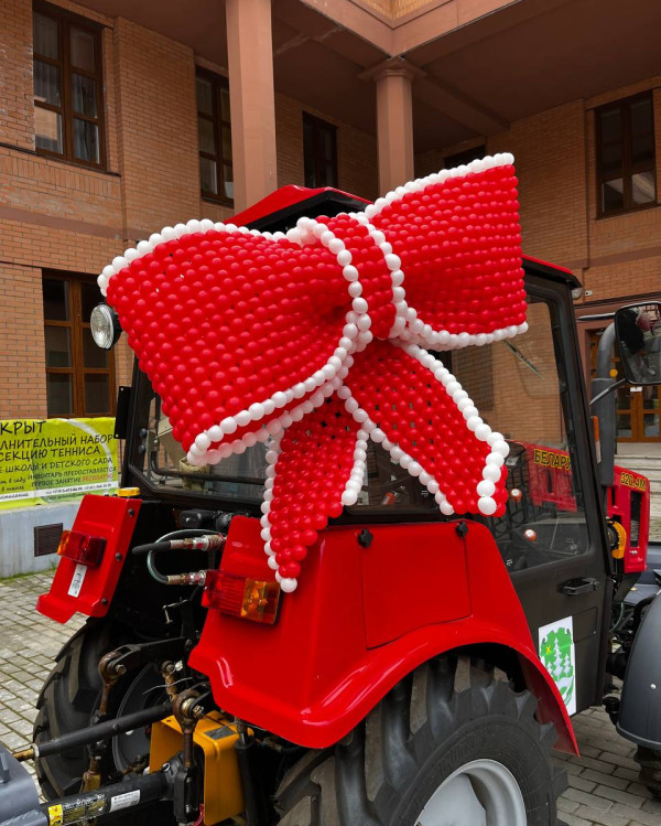 Большой бант для машины