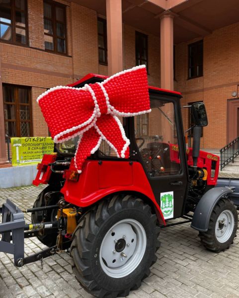 Большой бант для машины