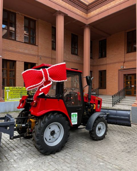 Большой бант для машины