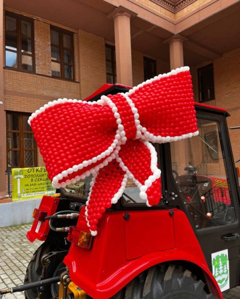 Большой бант для машины