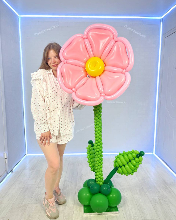 Большой розовый ростовой цветок