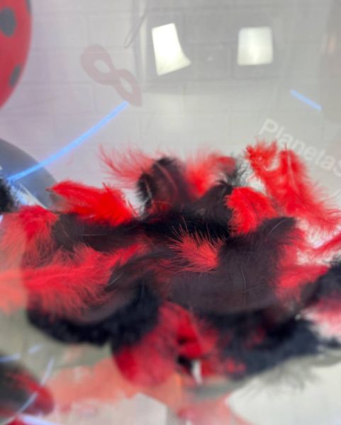 Черно красный набор шаров с перьями и маской