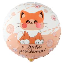 К 18" РУС ДР Котик усатый