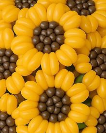 Подсолнухи из шаров