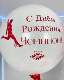Шары для фаната Спартака