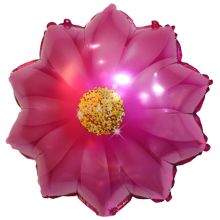  Георгин Цветок розовый