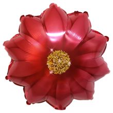  Георгин Цветок красный