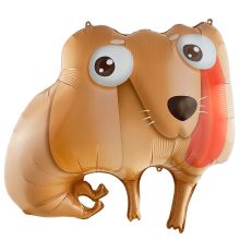  Собака глазастая