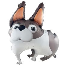  Собака ушастая бульдог