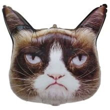  Кот сердитый