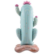  Кактус гигантский