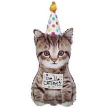  Котенок в колпаке