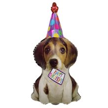  Собака щенок в колпаке