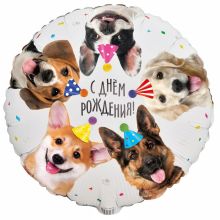 К 18" РУС ДР Собачки фотографичные