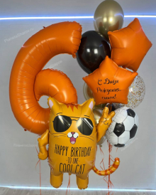 Набор шаров на 6 лет с крутым котом