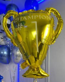 Футбольные шары Динамо